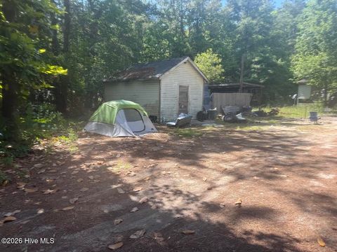 Tiny photo for 137 Wayne Road, Hubert, NC 28539 (MLS # 100573577)