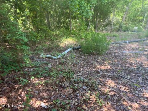 Tiny photo for 137 Wayne Road, Hubert, NC 28539 (MLS # 100573577)