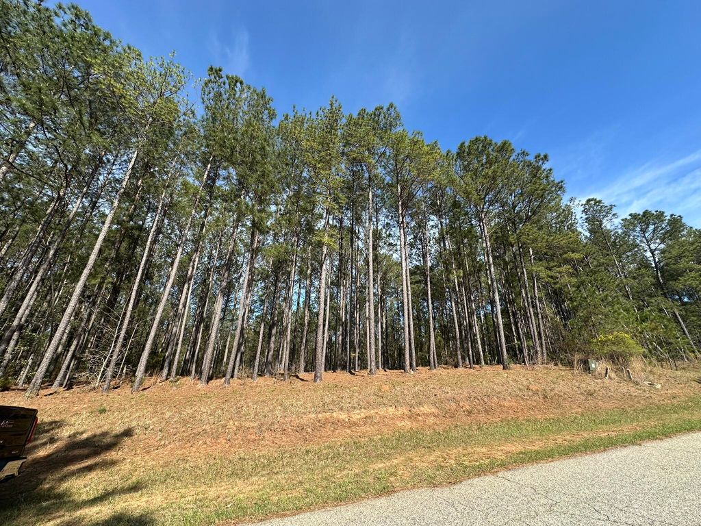 Photo of 65 Maiden Cane Way, Lincolnton, GA 30817 (MLS # 553915)