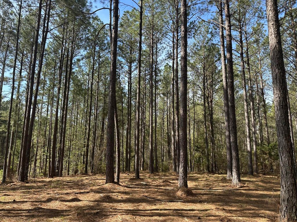 Photo of 65 Maiden Cane Way, Lincolnton, GA 30817 (MLS # 553915)