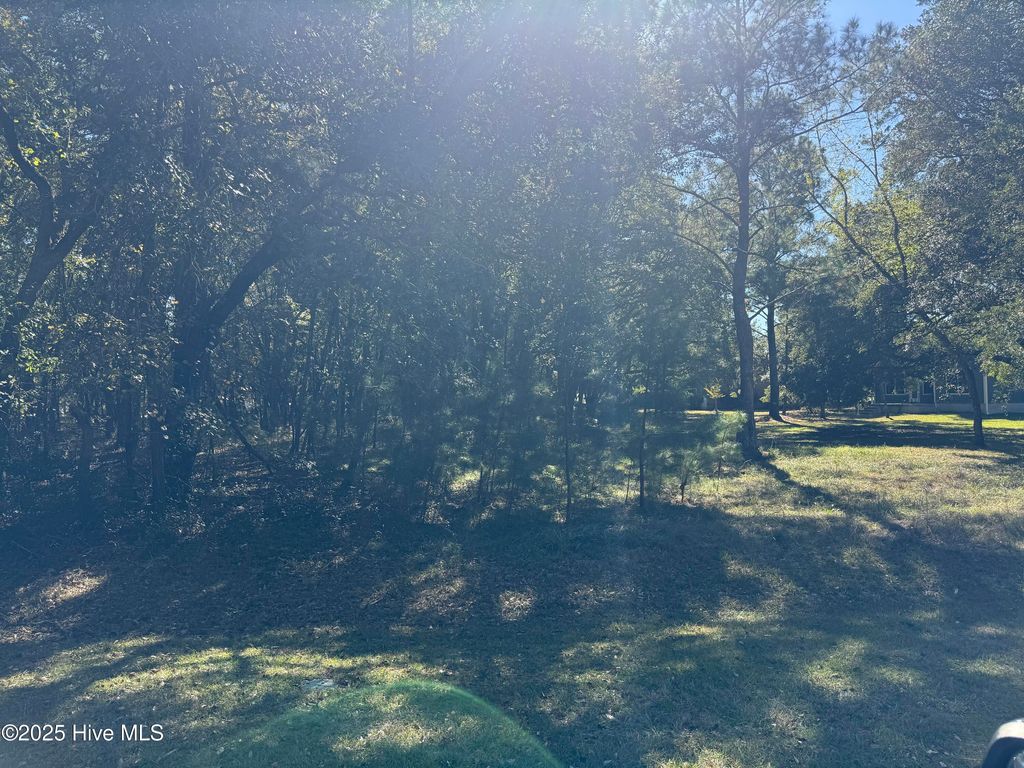 Photo of 902 Firefly Court, New Bern, NC 28560 (MLS # 100537901)