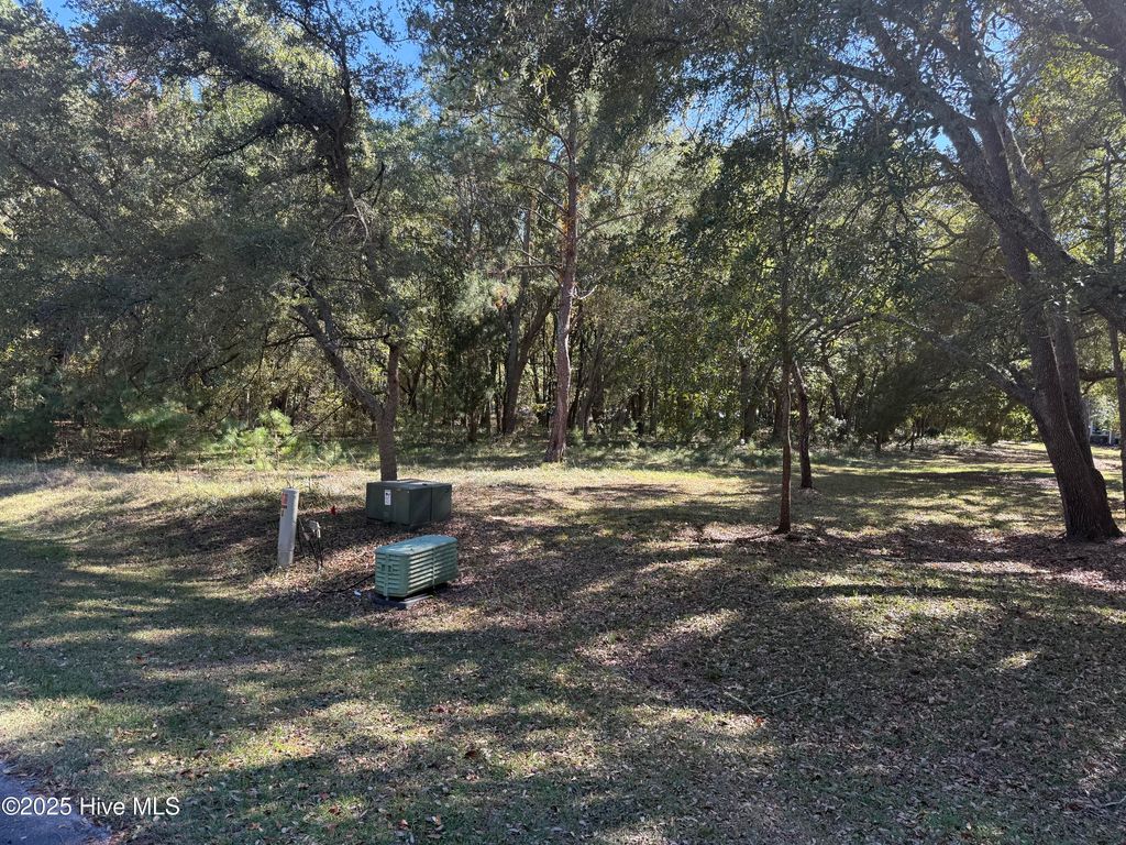 Photo of 902 Firefly Court, New Bern, NC 28560 (MLS # 100537901)