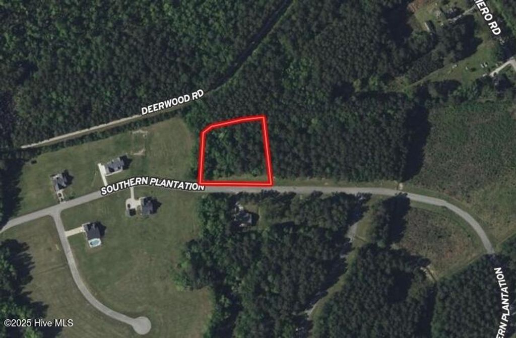 Photo of 636 Southern Plantation Drive S, Oriental, NC 28571 (MLS # 100544888)