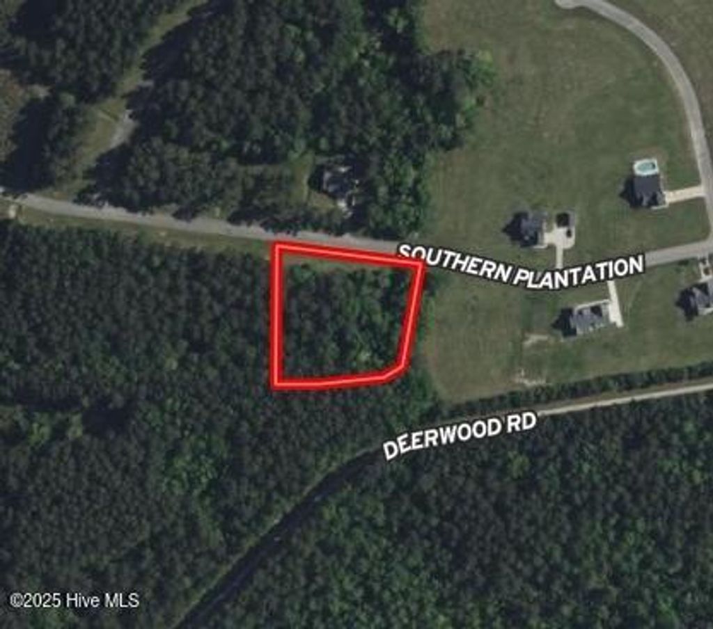 Photo of 636 Southern Plantation Drive S, Oriental, NC 28571 (MLS # 100544888)