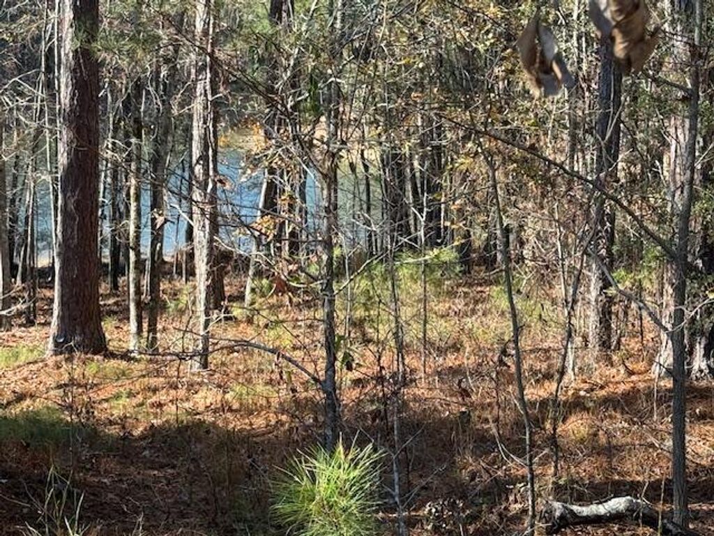 Photo of 207 Old Ferry Road, McCormick, SC 29835 (MLS # 550555)