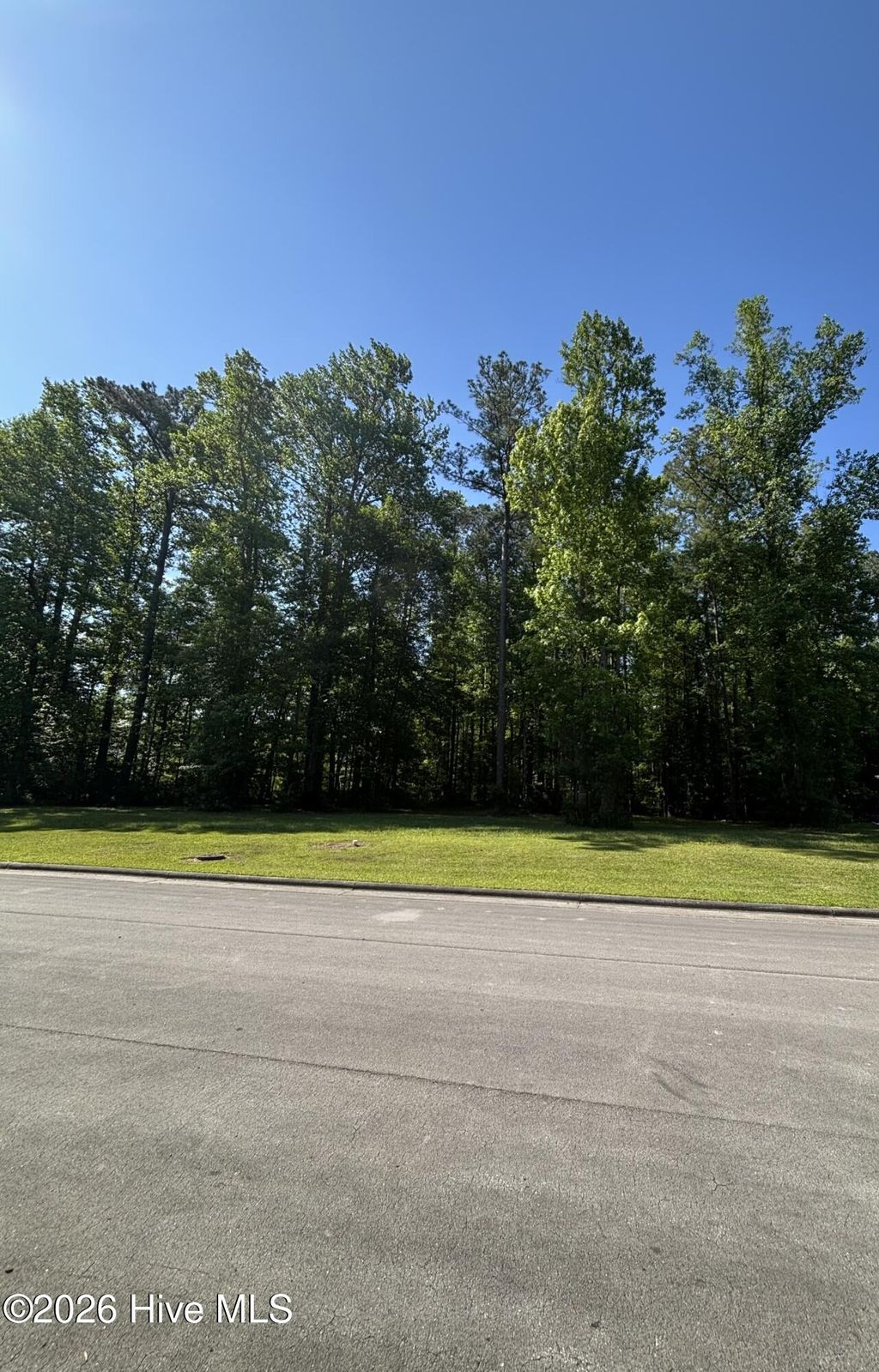 Photo of 4751 Creekscape Crossing, New Bern, NC 28562 (MLS # 100574942)