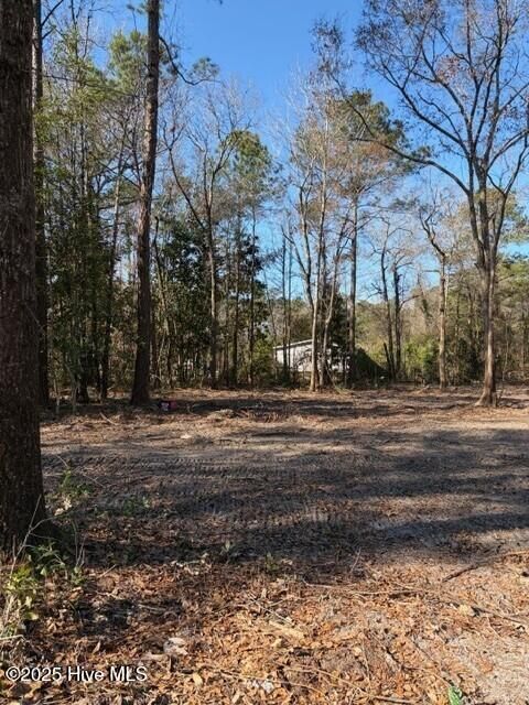 Tiny photo for 4404 Smith Trail NE, Leland, NC 28451 (MLS # 100545594)
