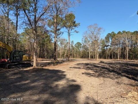 Tiny photo for 4404 Smith Trail NE, Leland, NC 28451 (MLS # 100545594)