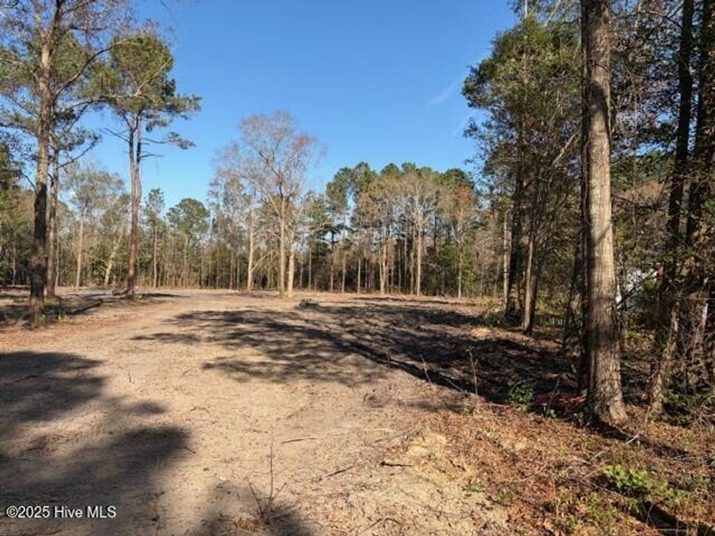 Photo of 4404 Smith Trail NE, Leland, NC 28451 (MLS # 100545594)