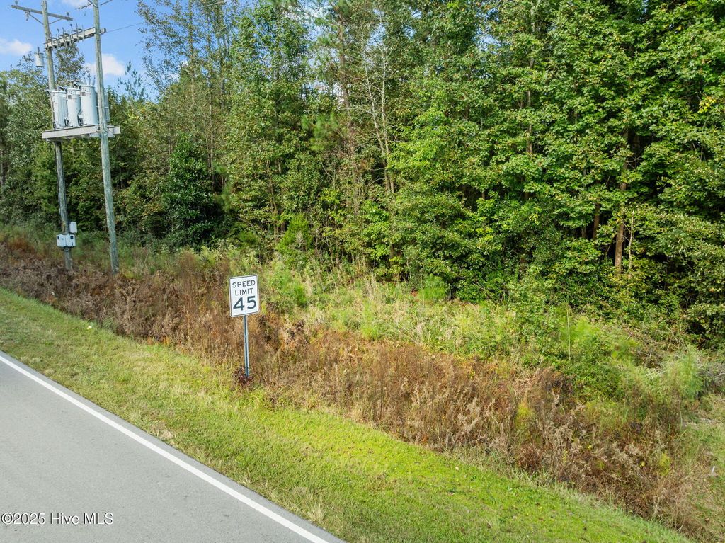 Photo of Tbd Gurganus Road, Maple Hill, NC 28454 (MLS # 100535179)
