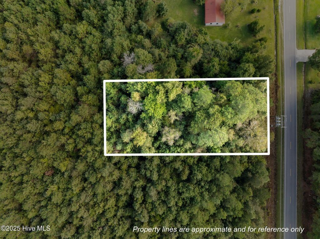 Photo of Tbd Gurganus Road, Maple Hill, NC 28454 (MLS # 100535179)