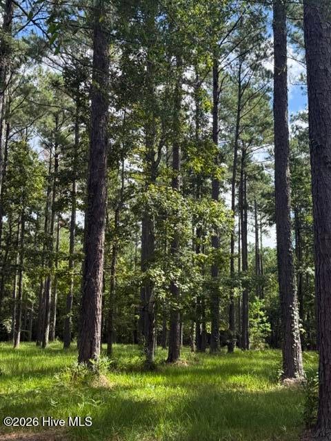 Photo of 39 Corrolla Loop Road, Oriental, NC 28571 (MLS # 100604013)