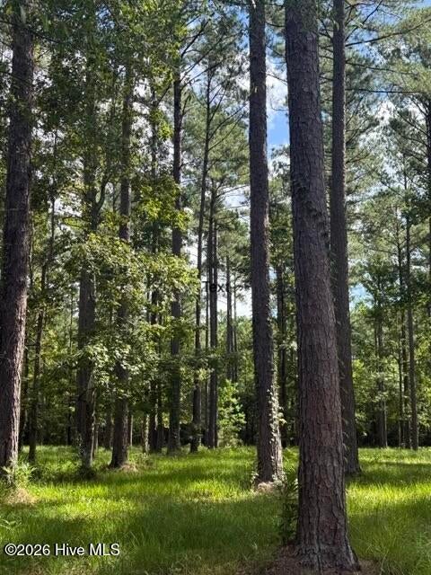 Photo of 39 Corrolla Loop Road, Oriental, NC 28571 (MLS # 100604013)