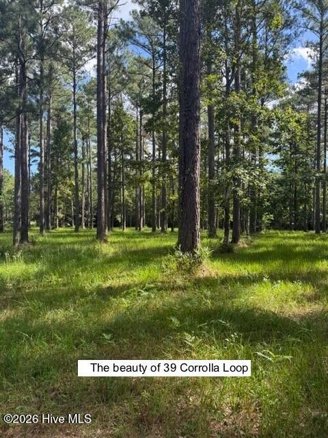 Photo of 39 Corrolla Loop Road, Oriental, NC 28571 (MLS # 100604013)
