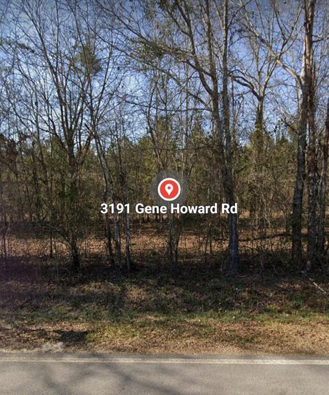 Vacant Land For Sale - 3191 Gene Howard Road<br/> Stapleton, GA 30823