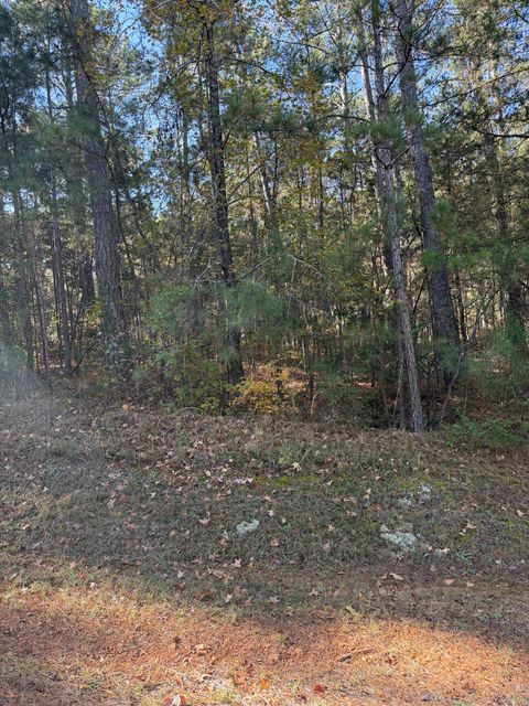 Vacant Land For Sale - LOT 13 Two Wood Pl<br/> McCormick, SC 29835