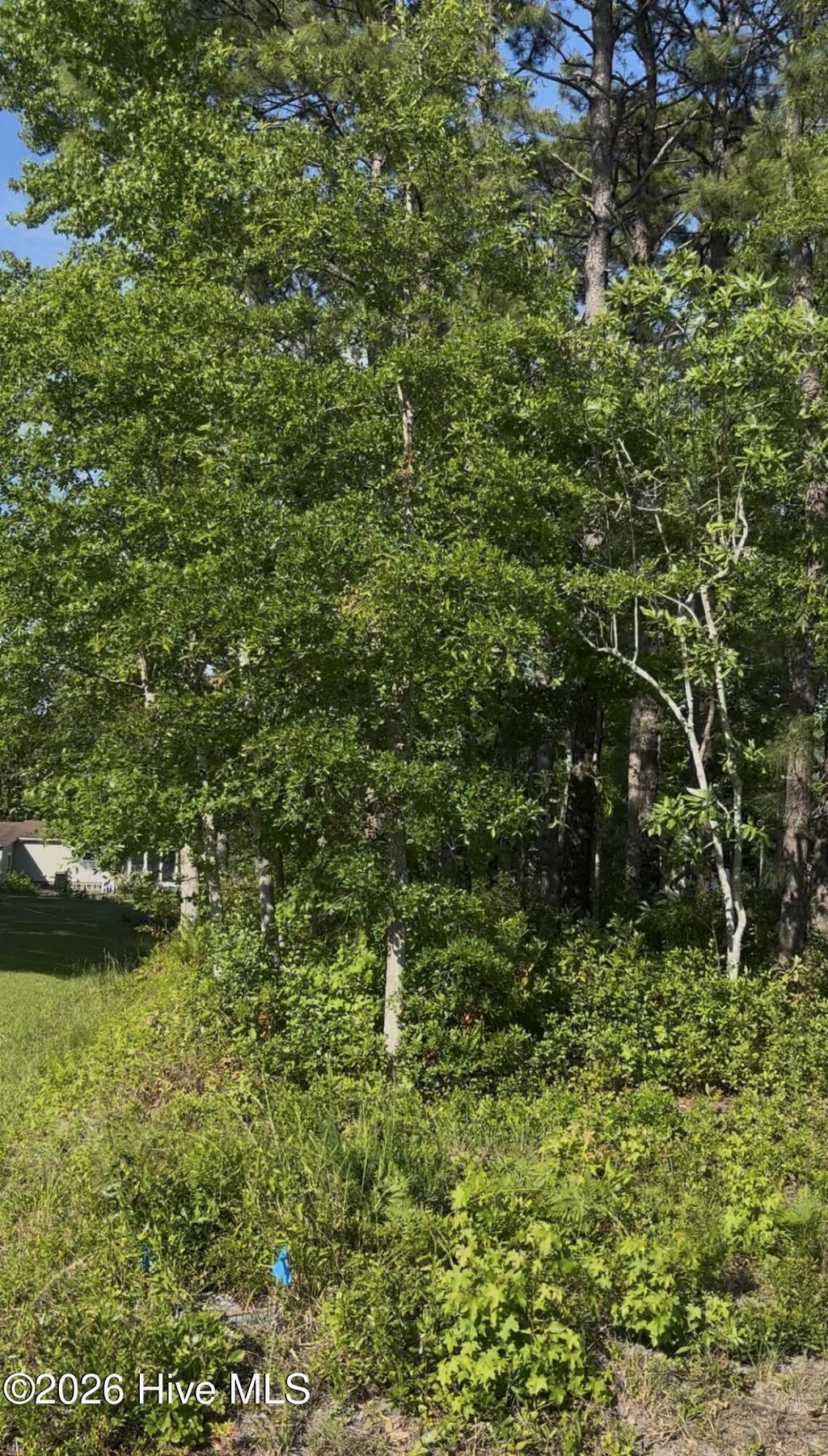 Photo of 57 Pinewood Drive, Carolina Shores, NC 28467 (MLS # 100551066)