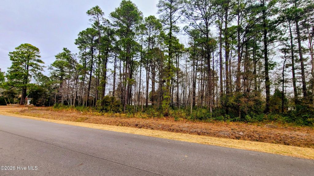 Photo of 57 Pinewood Drive, Carolina Shores, NC 28467 (MLS # 100551066)
