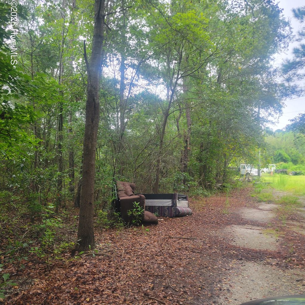 Photo of 6816 Nc Hwy. 53 E, Burgaw, NC 28425 (MLS # 100573585)