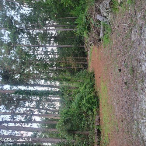 Tiny photo for 6816 Nc Hwy. 53 E, Burgaw, NC 28425 (MLS # 100573585)