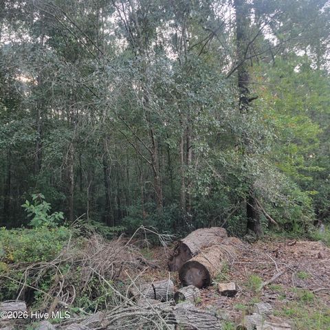 Tiny photo for 6816 Nc Hwy. 53 E, Burgaw, NC 28425 (MLS # 100573585)