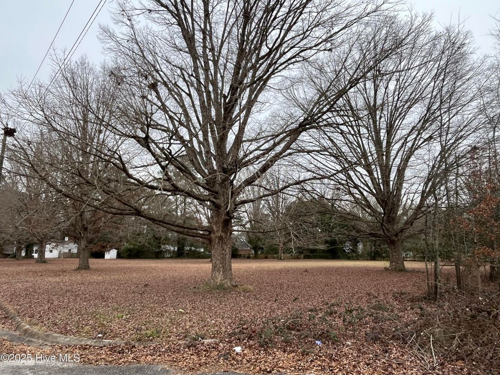 Photo of 1 Corner Fairly &amp; Lanoca Avenue, Laurinburg, NC 28352 (MLS # 100568738)