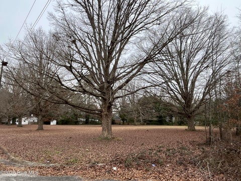 Vacant Land For Sale - 1 Corner Fairly & Lanoca Avenue<br/> Laurinburg, NC 28352