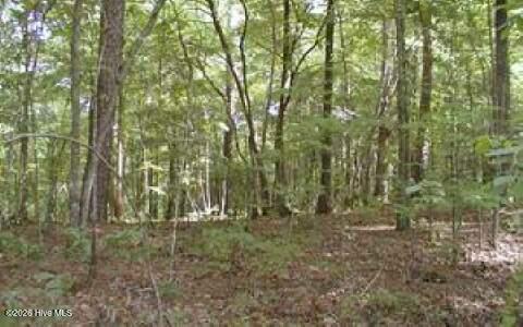 Photo of 53 Panda Lane, Murphy, NC 28906 (MLS # 100607569)