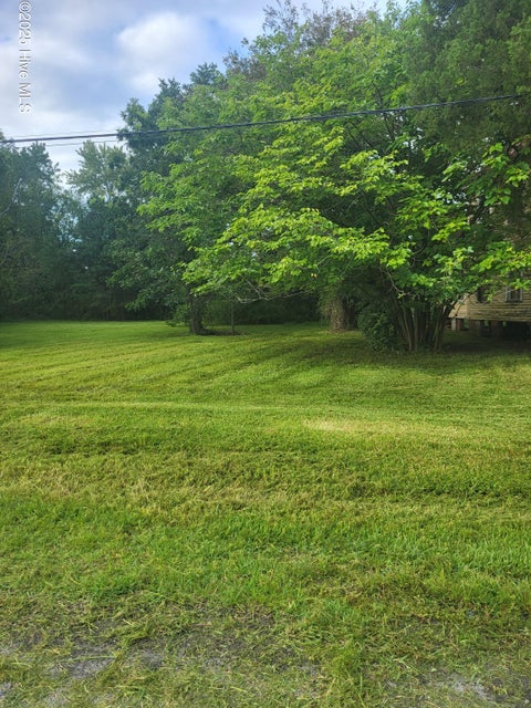Vacant Land For Sale - Pungo Street<br/> Belhaven, NC 27810