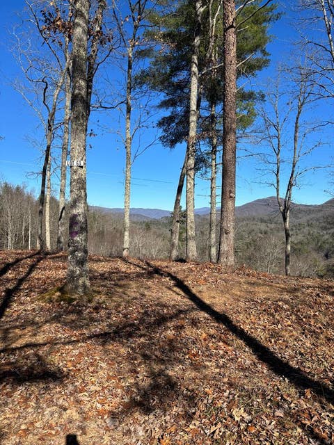 Vacant Land For Sale - LOT 63 Thundering Hill<br/> Murphy, NC 28906