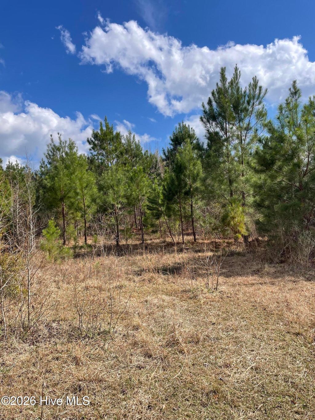 Photo of 0 Split Drive SE, Bolivia, NC 28422 (MLS # 100559299)