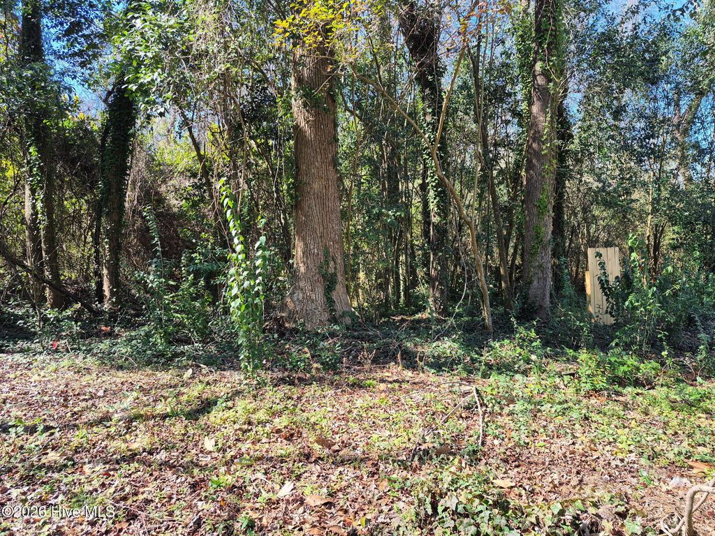 Photo of 1138 French Road, Wilmington, NC 28403 (MLS # 100556483)