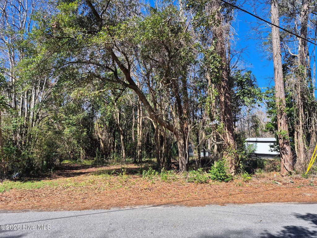 Photo of 1138 French Road, Wilmington, NC 28403 (MLS # 100556483)