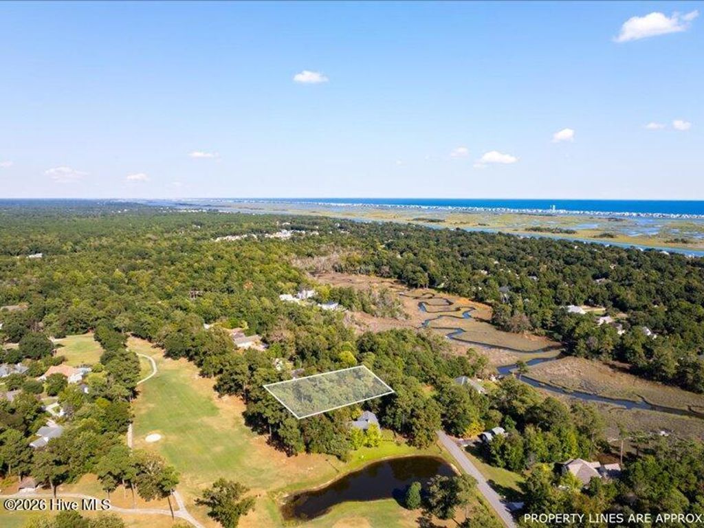 Photo of 610 Saw Grass Road, Hampstead, NC 28443 (MLS # 100557513)