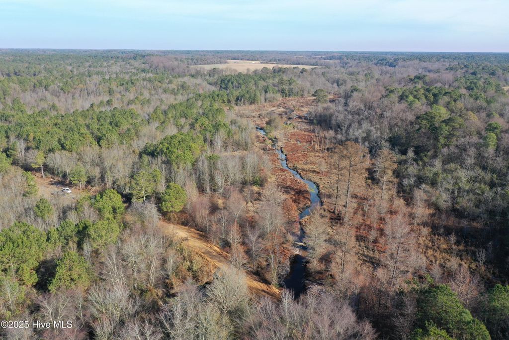 Photo of Tbd Moon Johnson Road, Roseboro, NC 28382 (MLS # 100546831)