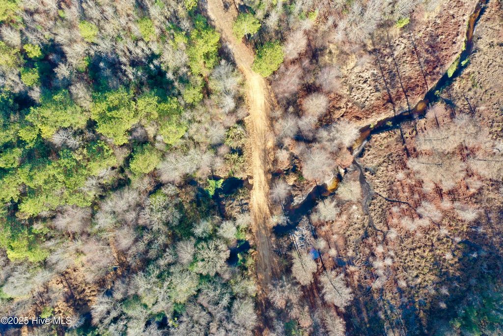 Photo of Tbd Moon Johnson Road, Roseboro, NC 28382 (MLS # 100546831)