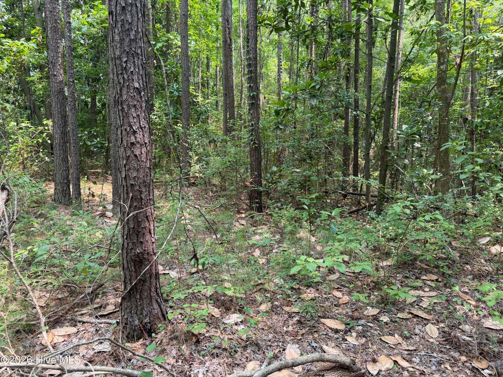 Photo of 1187 Green Springs Road, New Bern, NC 28560 (MLS # 100595123)