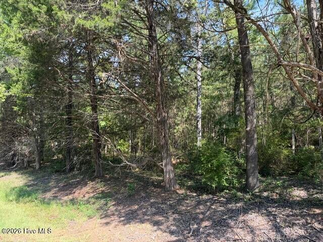 Photo of 462 Amaryllis Drive, Sparta, GA 31087 (MLS # 100601004)
