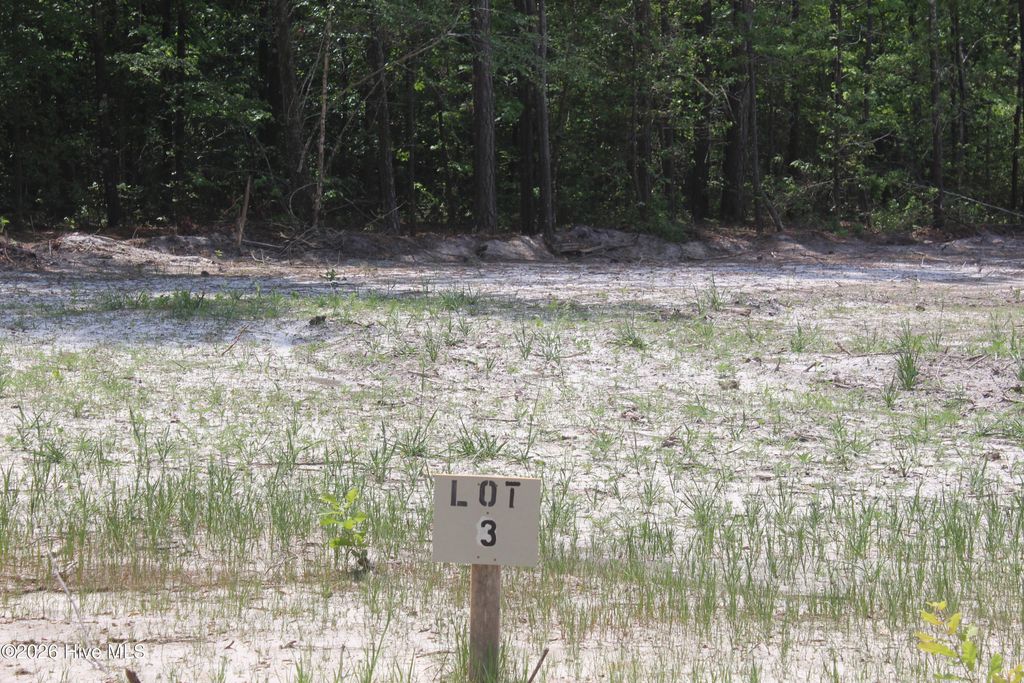 Photo of 128 Southerland Road, Magnolia, NC 28453 (MLS # 100569693)