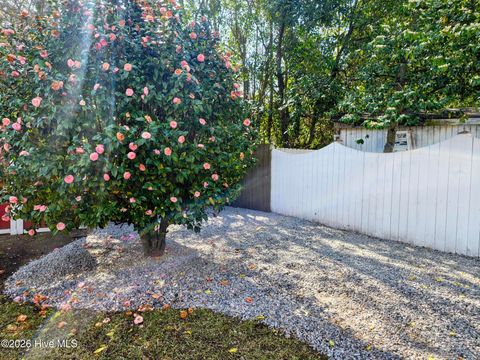 Tiny photo for 115 N Academy Street, Washington, NC 27889 (MLS # 100561142)