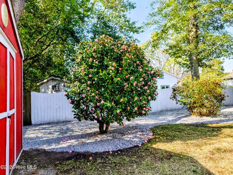 Tiny photo for 115 N Academy Street, Washington, NC 27889 (MLS # 100561142)