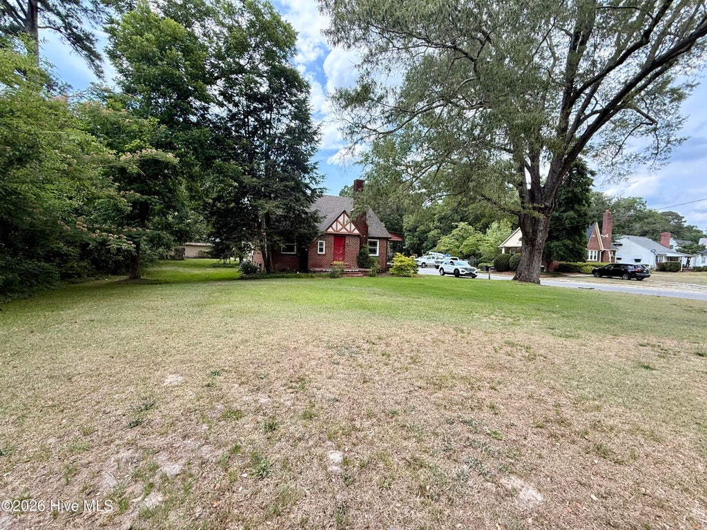 Photo of 301 W Harper Street, Snow Hill, NC 28580 (MLS # 100582209)