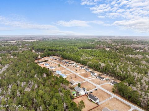 Tiny photo for 186 Liberty Park Road, Jacksonville, NC 28540 (MLS # 100546613)