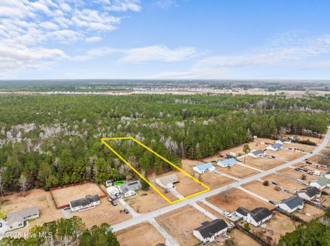 Tiny photo for 186 Liberty Park Road, Jacksonville, NC 28540 (MLS # 100546613)