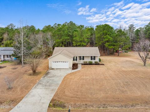 Tiny photo for 186 Liberty Park Road, Jacksonville, NC 28540 (MLS # 100546613)