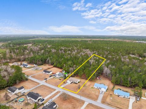 Tiny photo for 186 Liberty Park Road, Jacksonville, NC 28540 (MLS # 100546613)