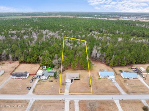 Tiny photo for 186 Liberty Park Road, Jacksonville, NC 28540 (MLS # 100546613)