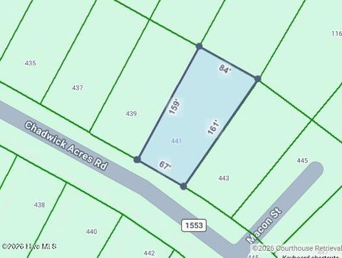 Photo of 441 Chadwick Acres Road, Sneads Ferry, NC 28460 (MLS # 100557988)