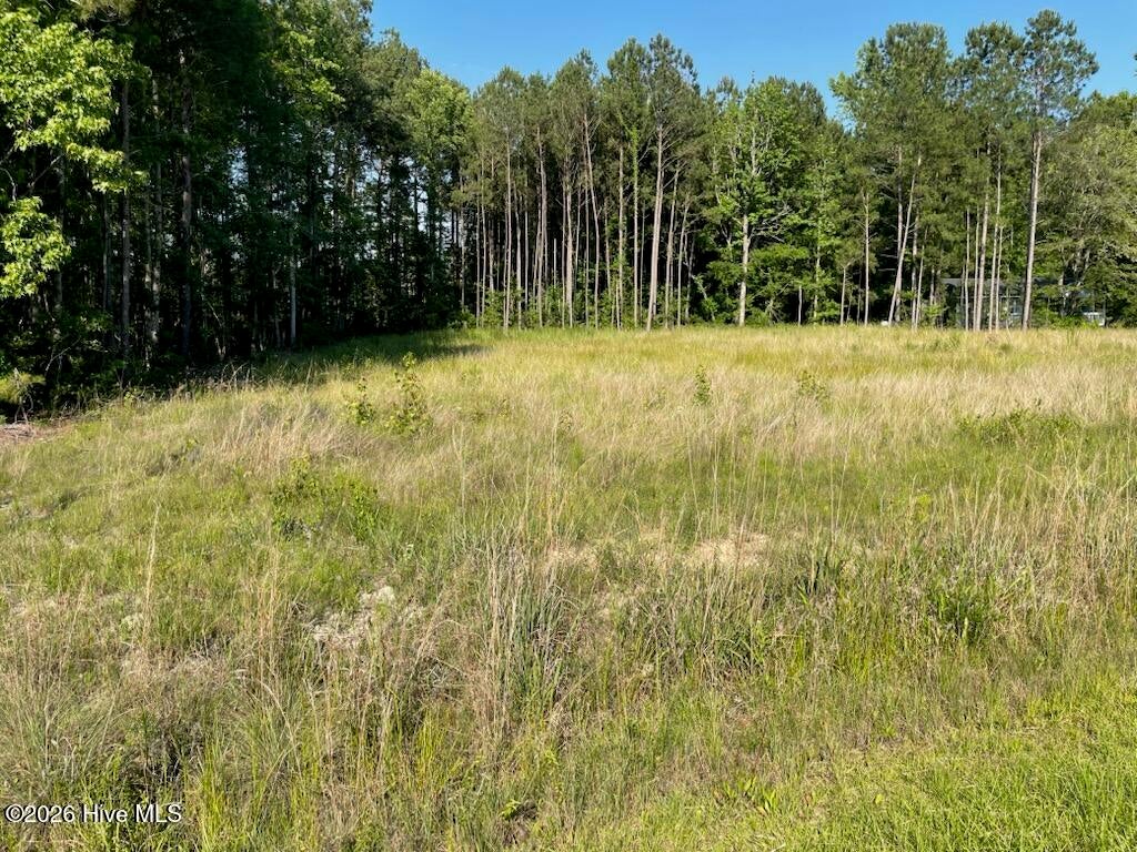 0 Fennell Town Road, Rocky Point, NC, 28457