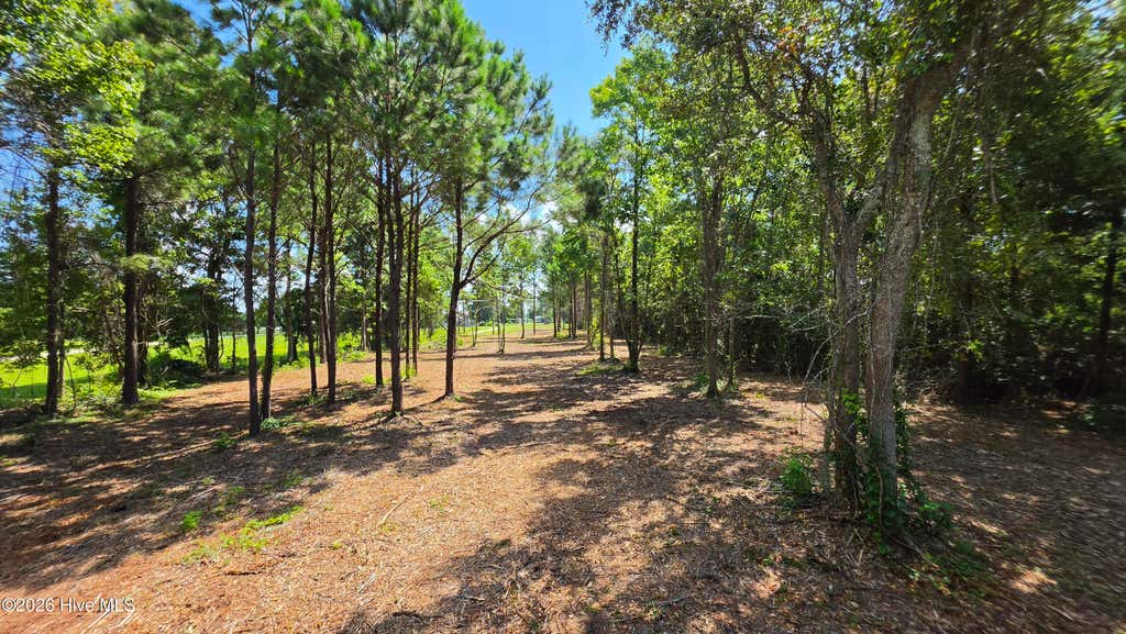 Photo of 851 Highway 101, Beaufort, NC 28516 (MLS # 100598380)